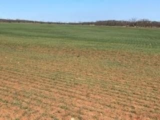 30 acres in Taylor County - photo 5