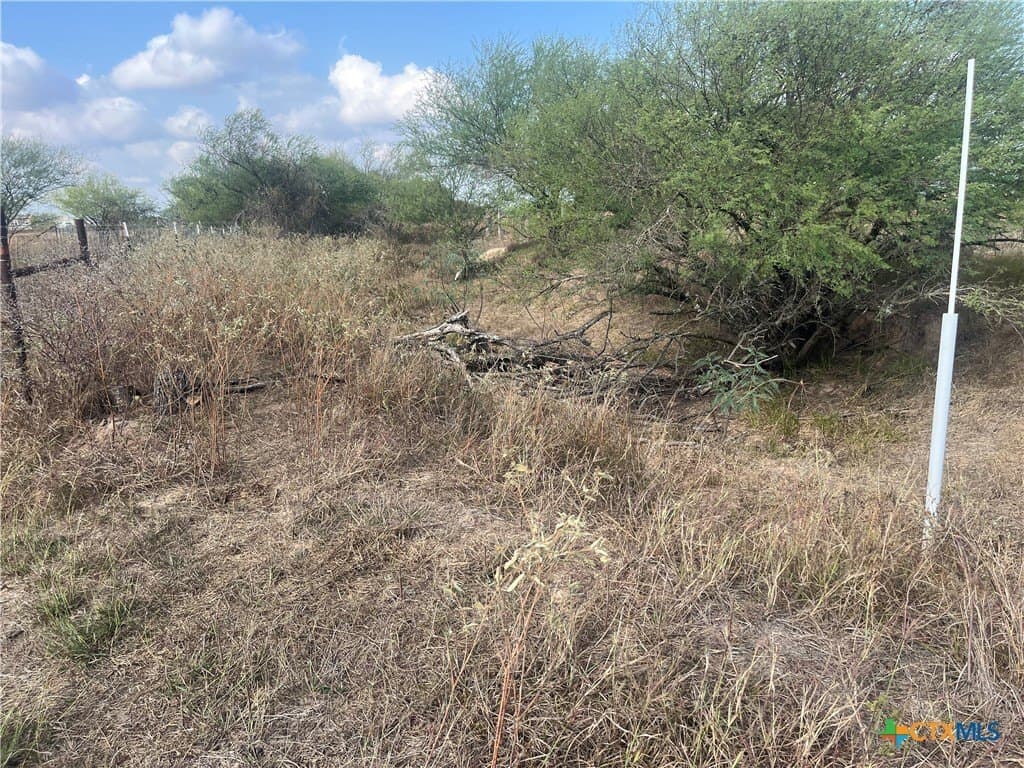 5.02 acres in Victoria County - photo 7