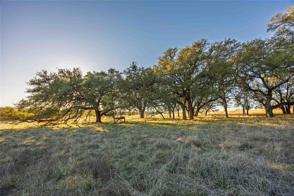 8.1 acres in Comanche County - photo 7