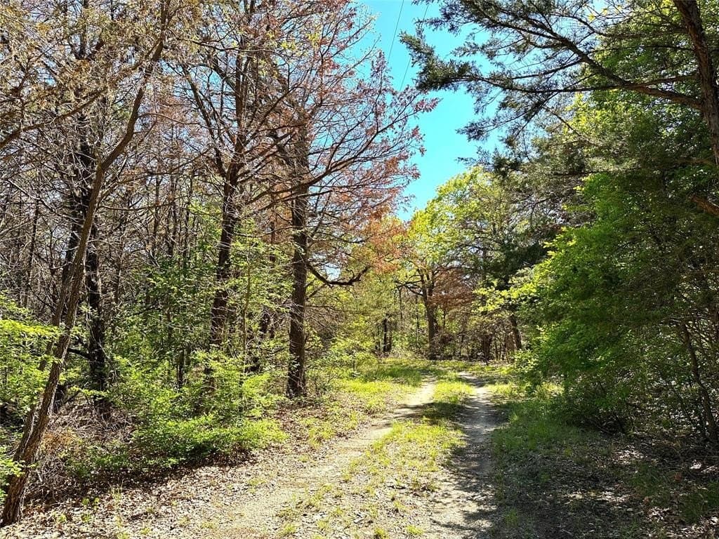 45.02 acres in Navarro County - photo 4