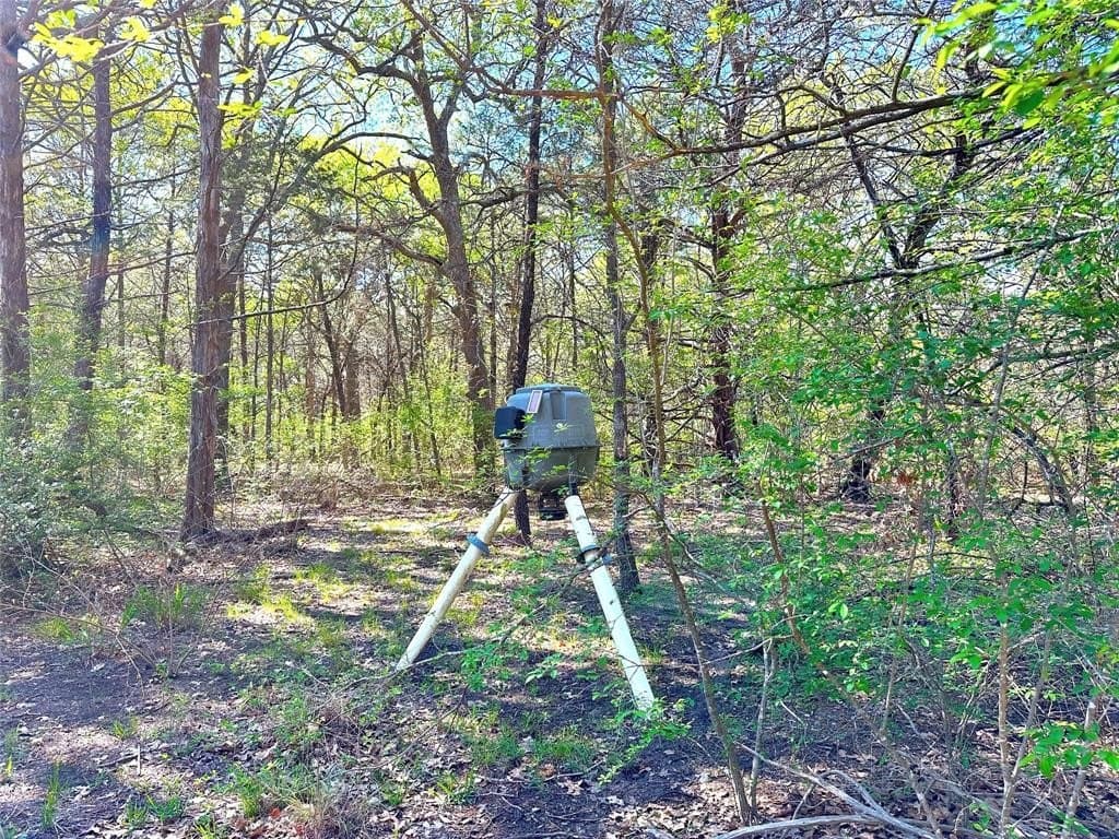45.02 acres in Navarro County - photo 15