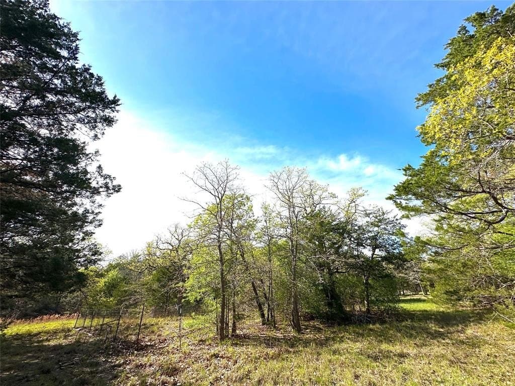 45.02 acres in Navarro County - photo 26