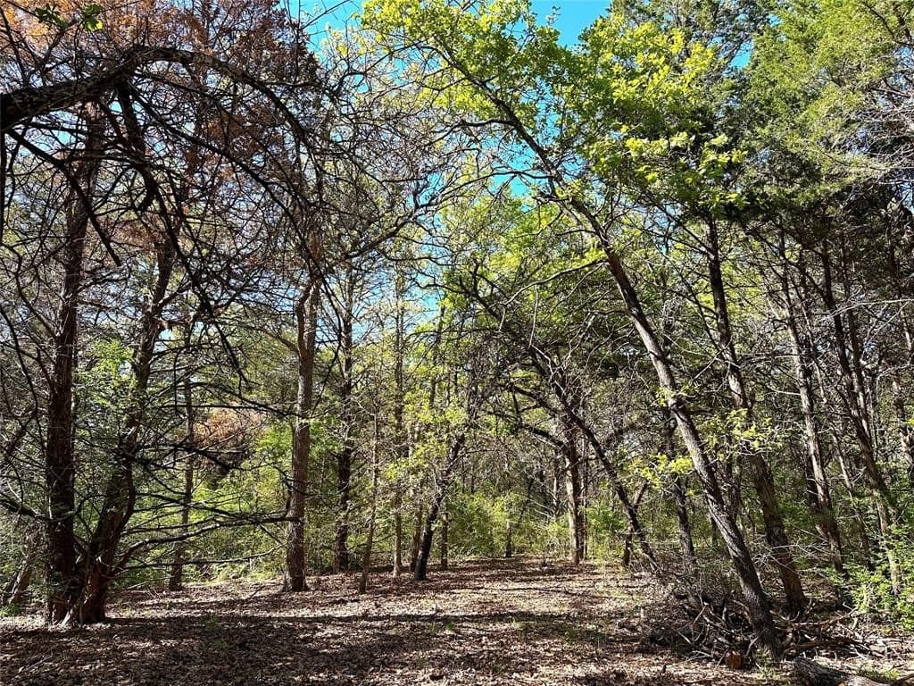45.02 acres in Navarro County - photo 29