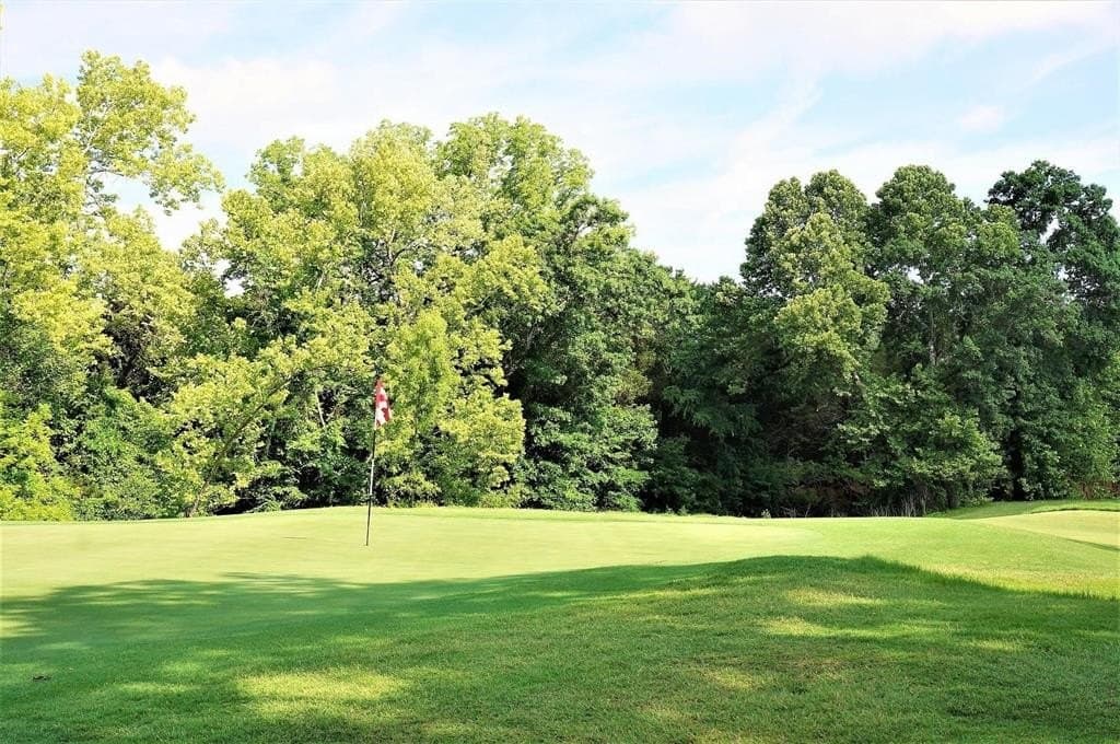 0.43 acres in Grayson County - photo 16