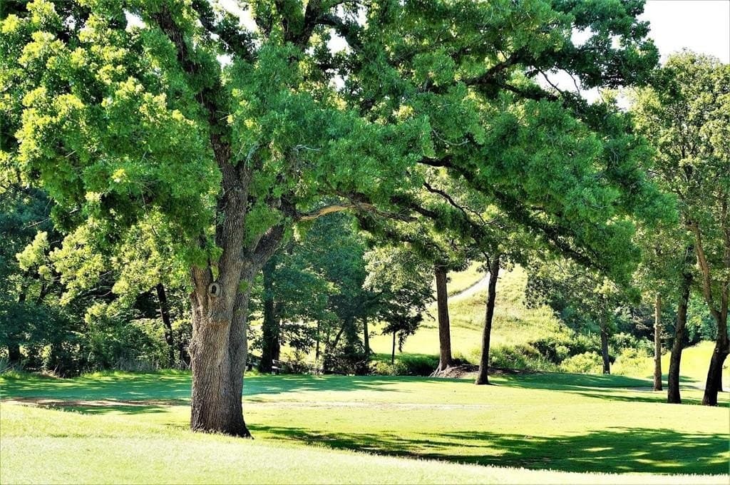 0.43 acres in Grayson County - photo 8