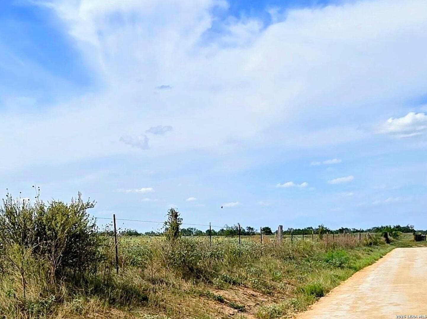 23.45 acres in Frio County - photo 6