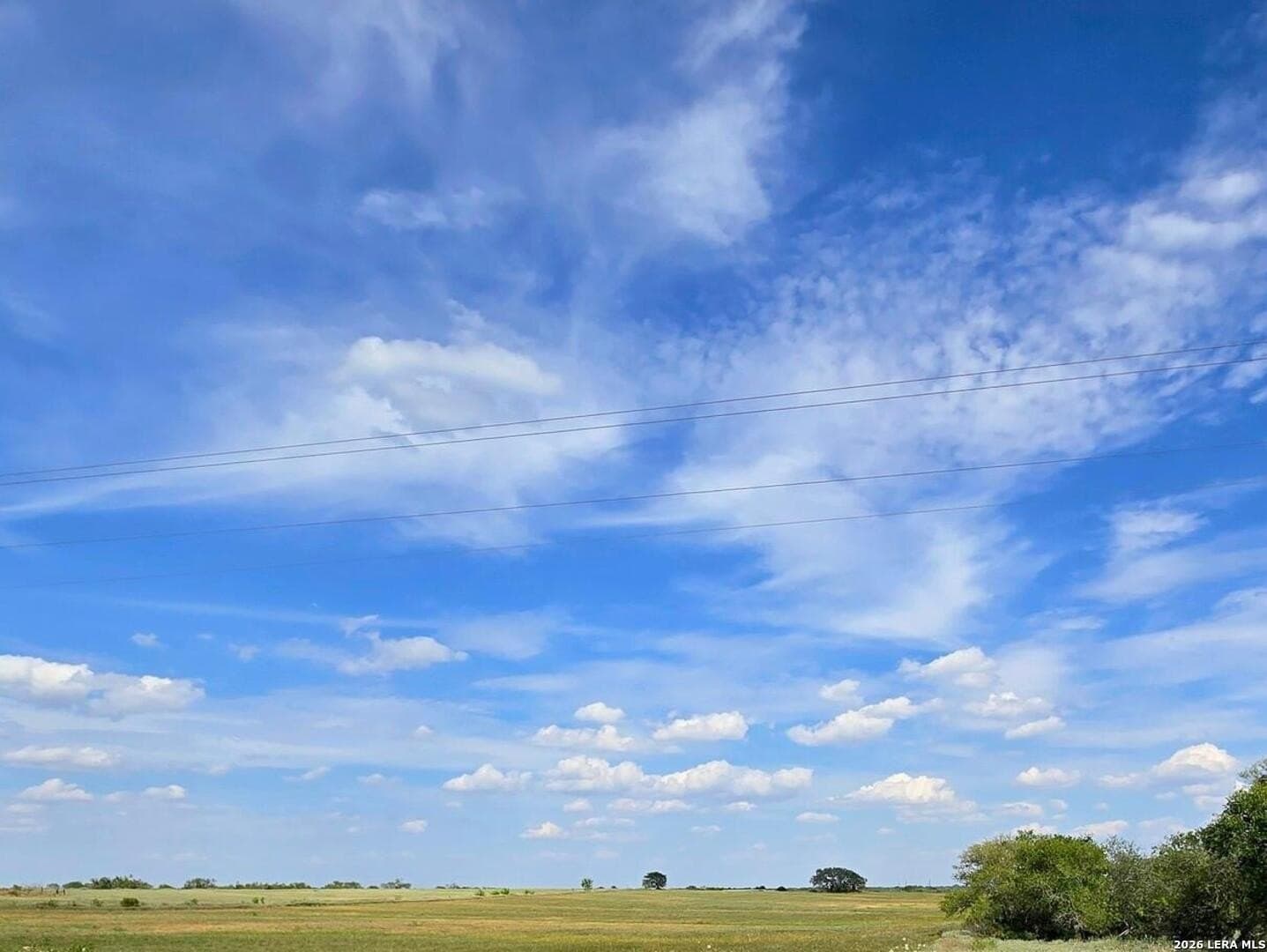 23.45 acres in Frio County - photo 5