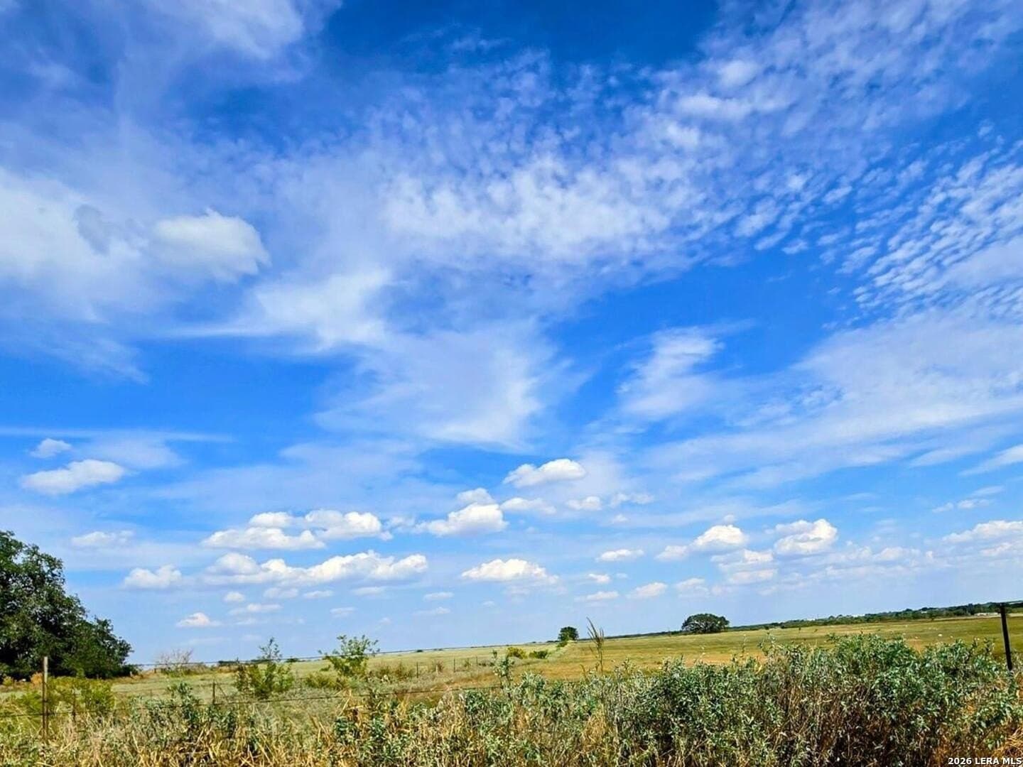 23.45 acres in Frio County - photo 9