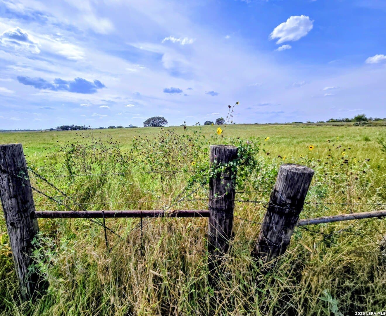 23.45 acres in Frio County - photo 12