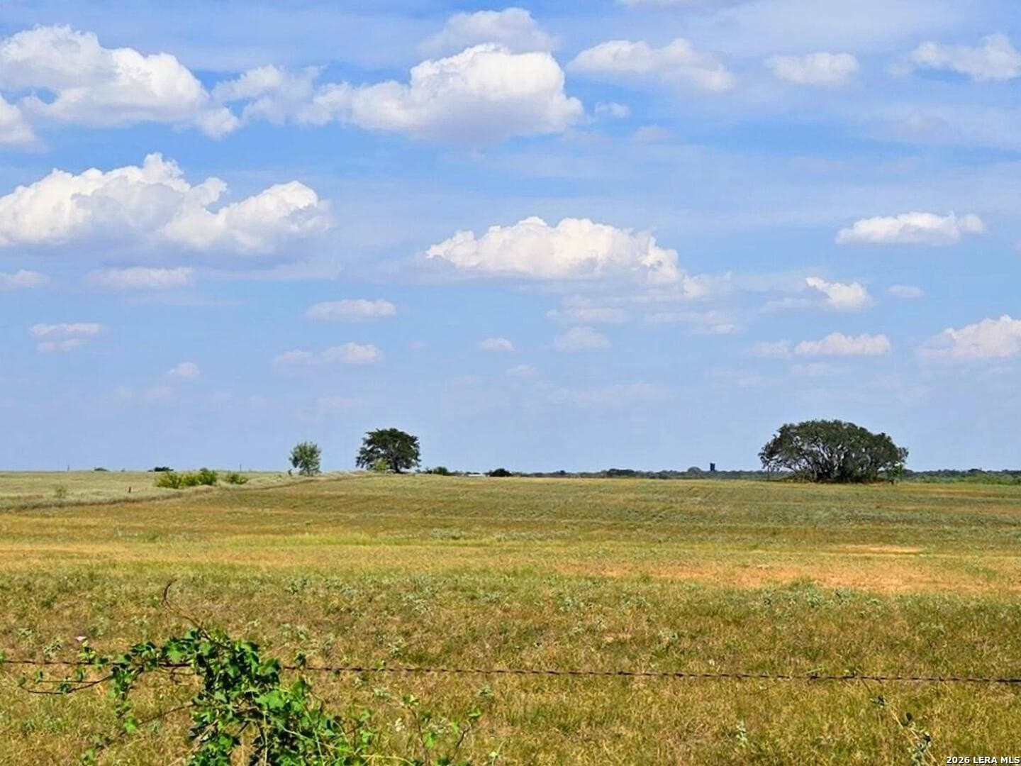 23.45 acres in Frio County - photo 2
