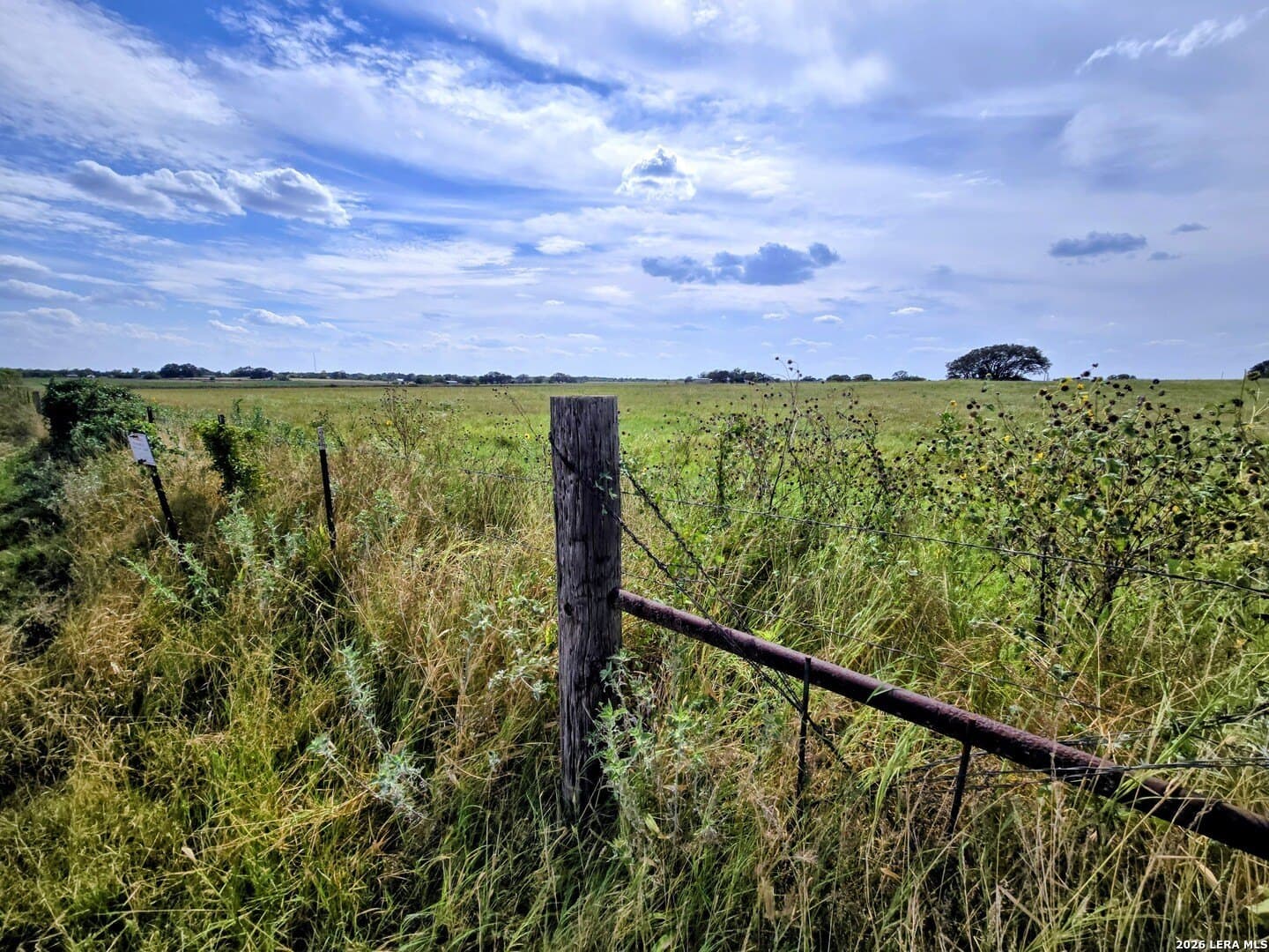 23.45 acres in Frio County - photo 15