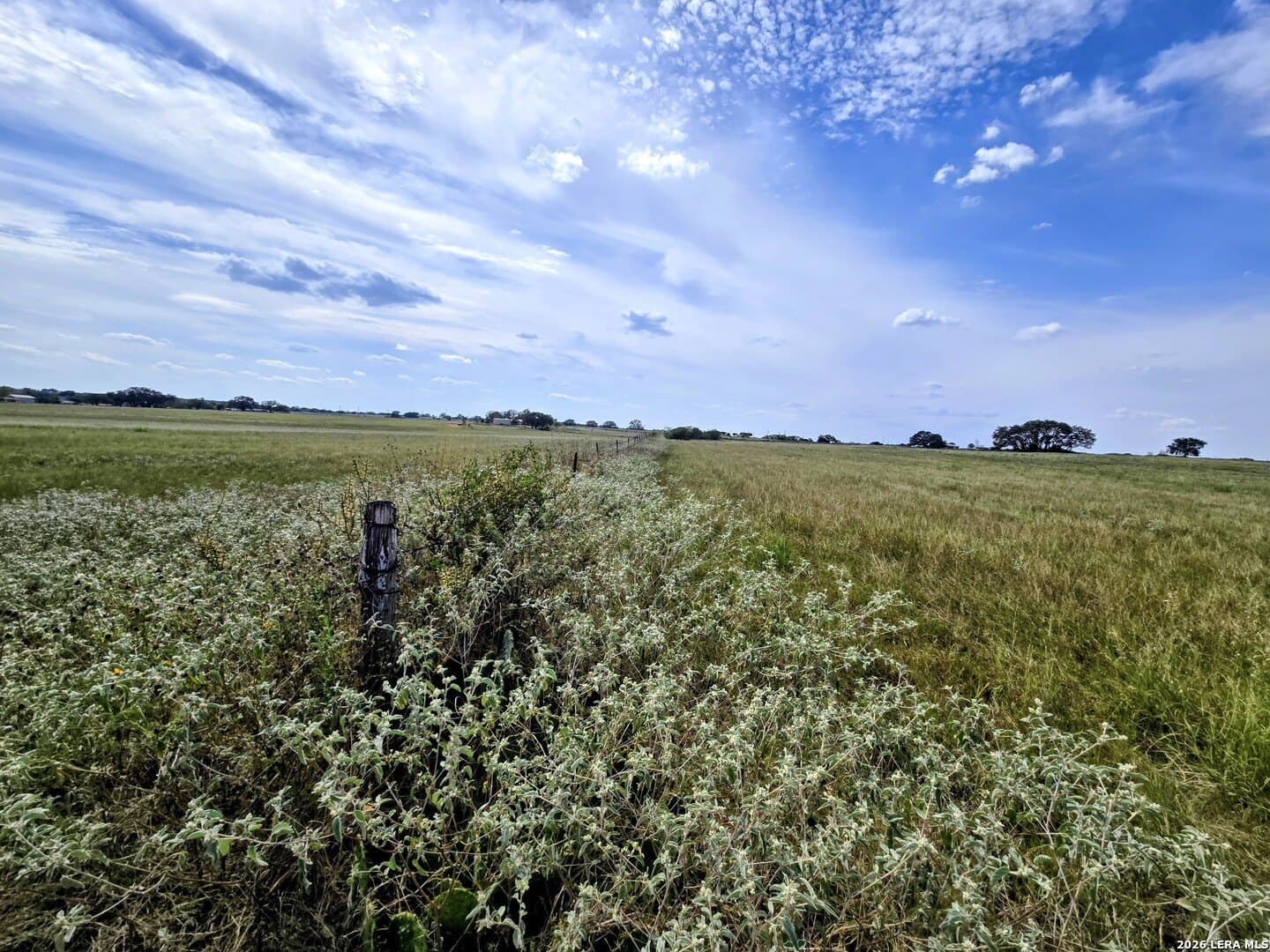 23.45 acres in Frio County - photo 7