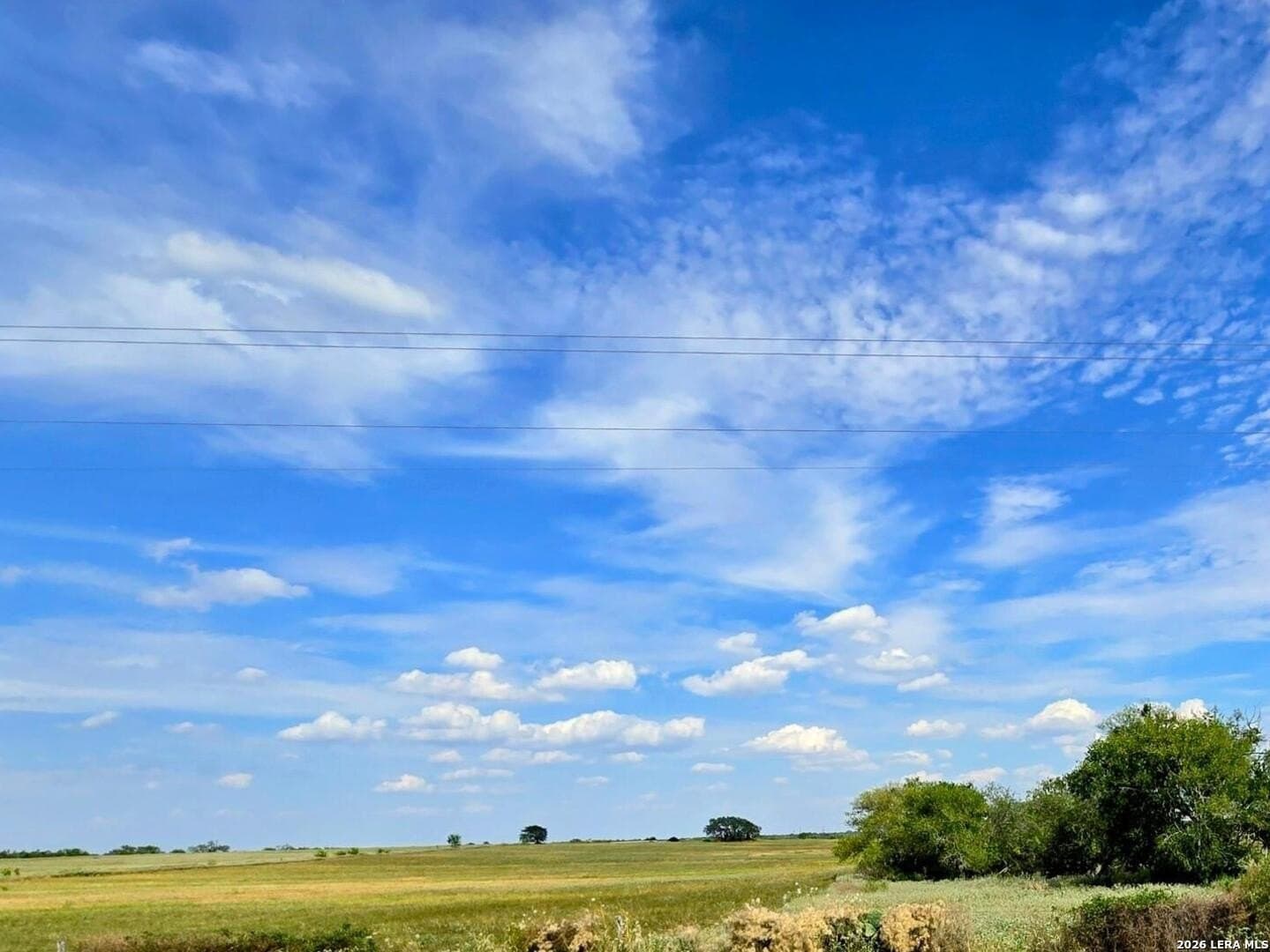 23.45 acres in Frio County - photo 8