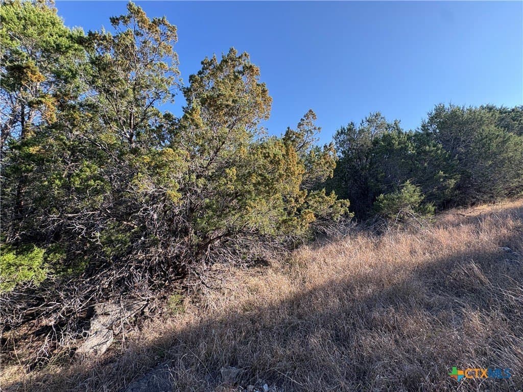 4.66 acres in Burnet County - photo 3