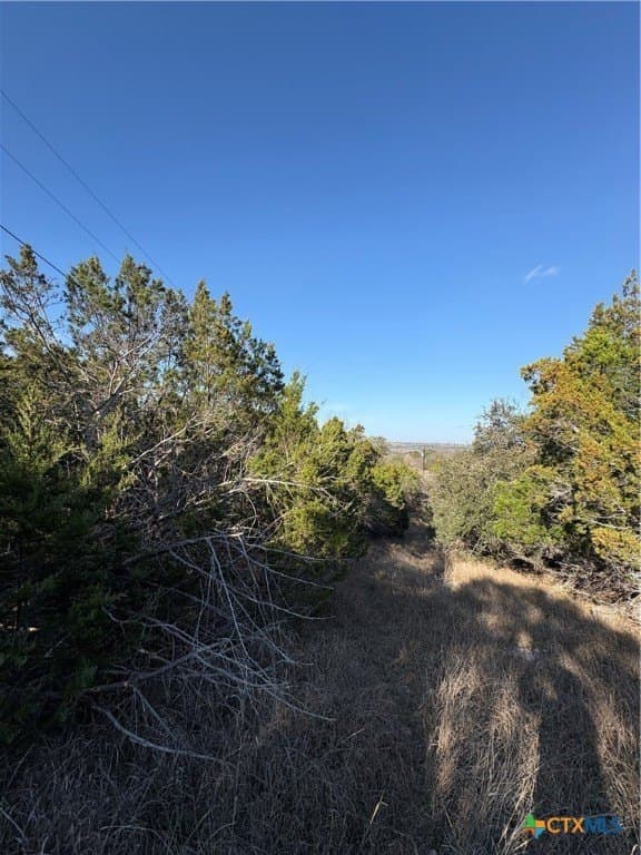 4.66 acres in Burnet County - photo 5