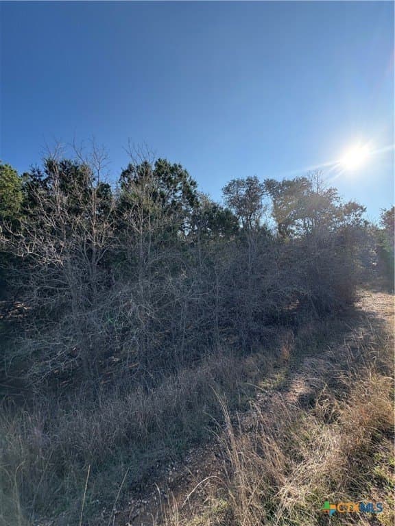 4.66 acres in Burnet County - photo 4