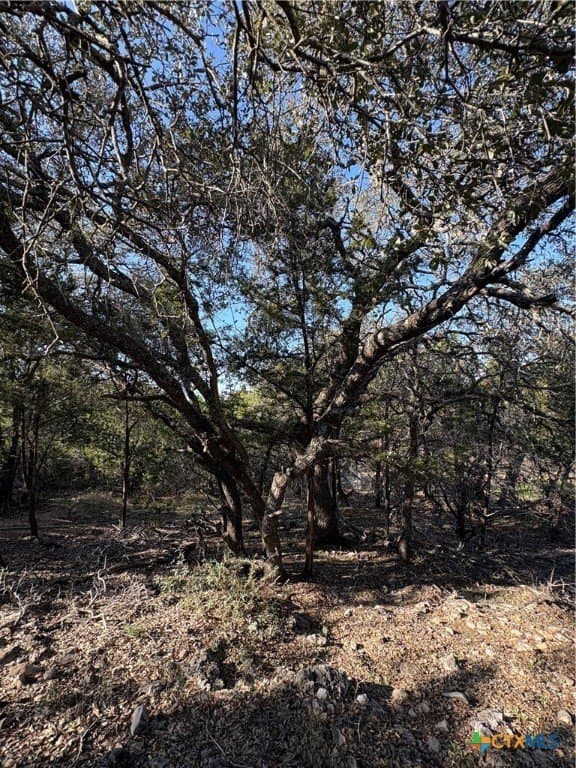 4.66 acres in Burnet County - photo 2