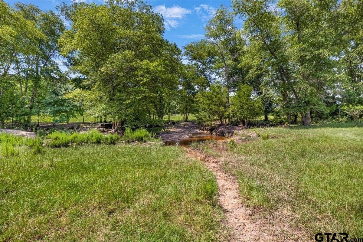 133.9 acres in Upshur County - photo 42