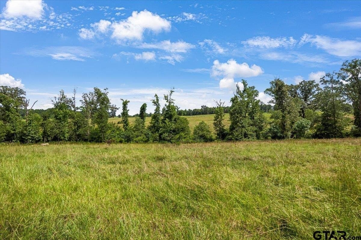 133.9 acres in Upshur County - photo 38