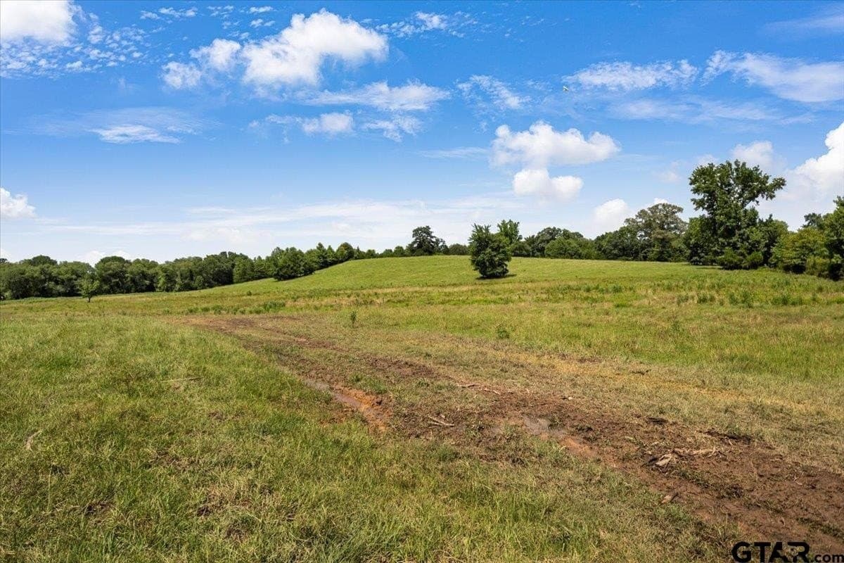 133.9 acres in Upshur County - photo 41