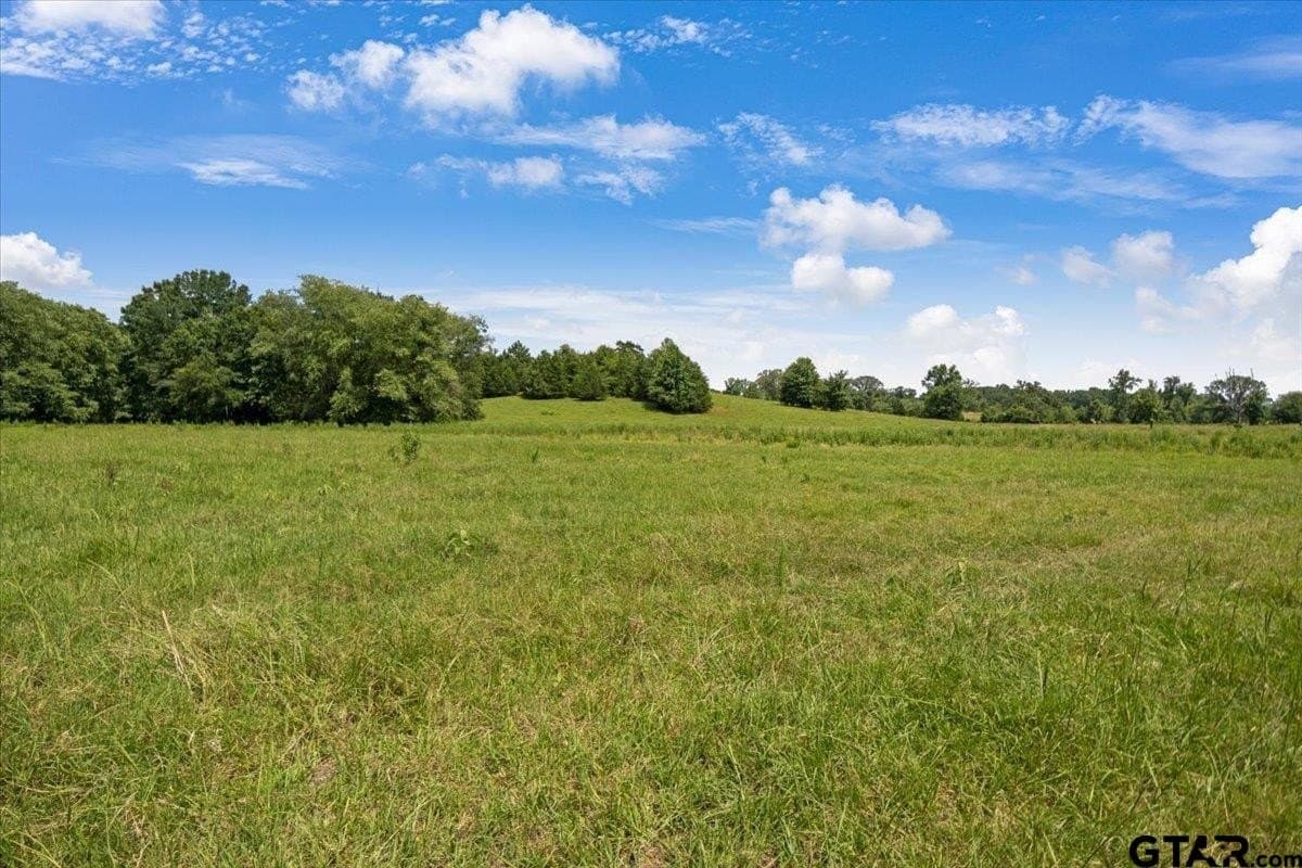 133.9 acres in Upshur County - photo 43