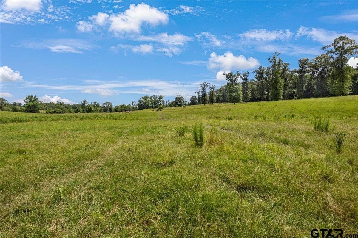 133.9 acres in Upshur County - photo 44