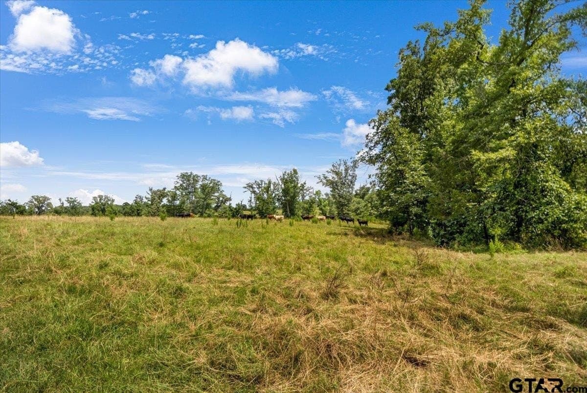 133.9 acres in Upshur County - photo 37