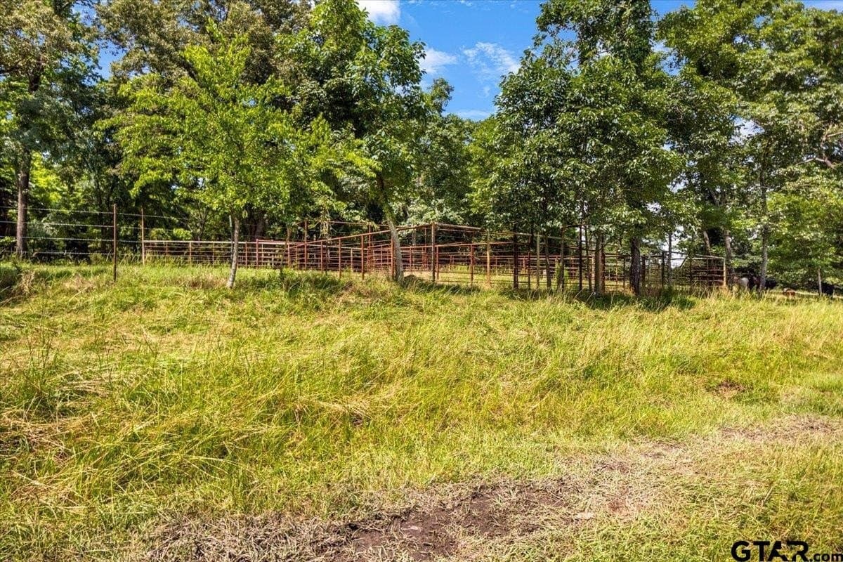 133.9 acres in Upshur County - photo 39