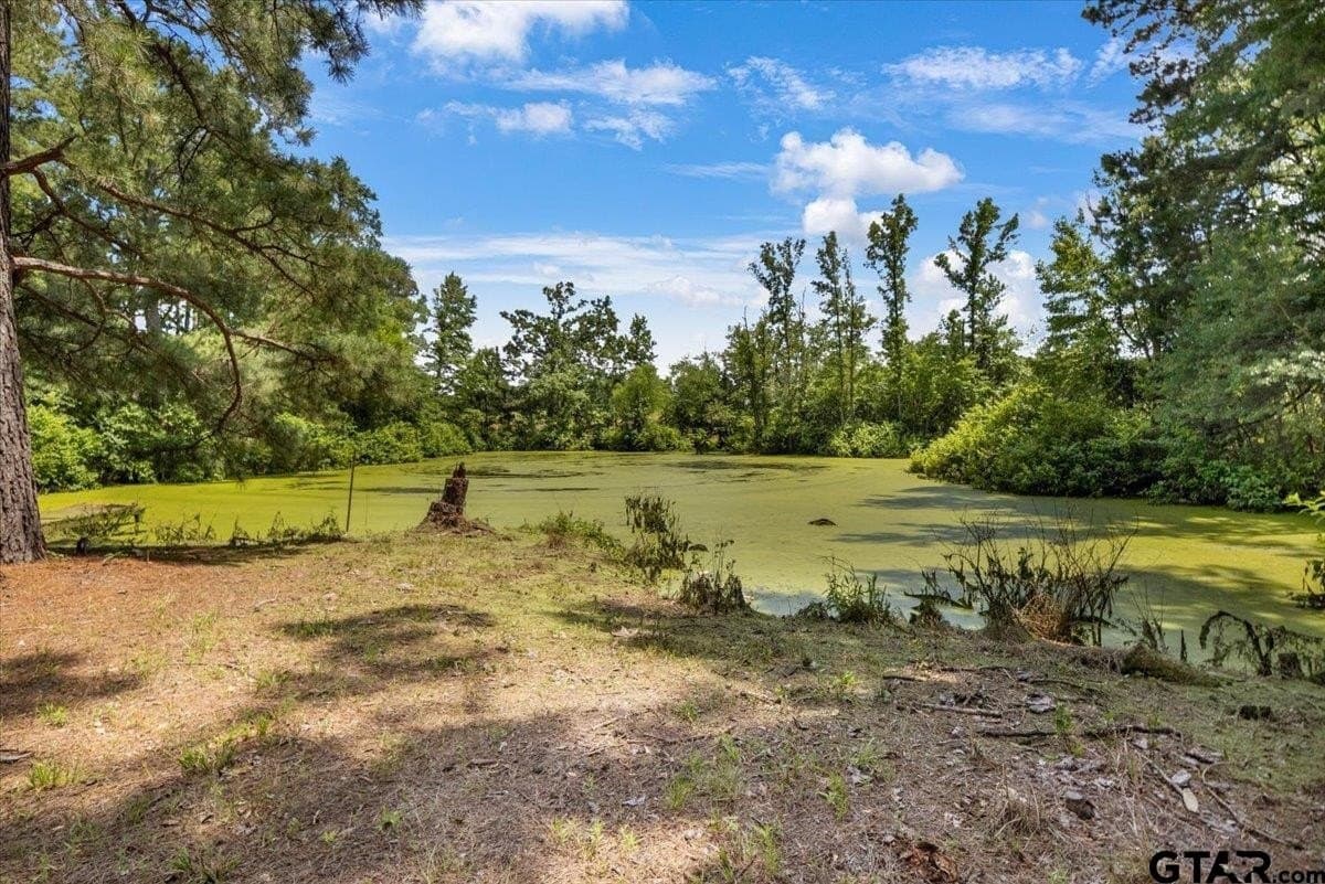 133.9 acres in Upshur County - photo 28