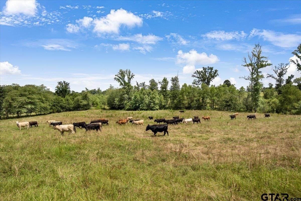 133.9 acres in Upshur County - photo 40
