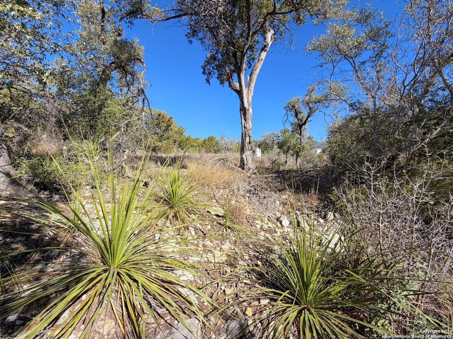 1.04 acres in Comal County - photo 21