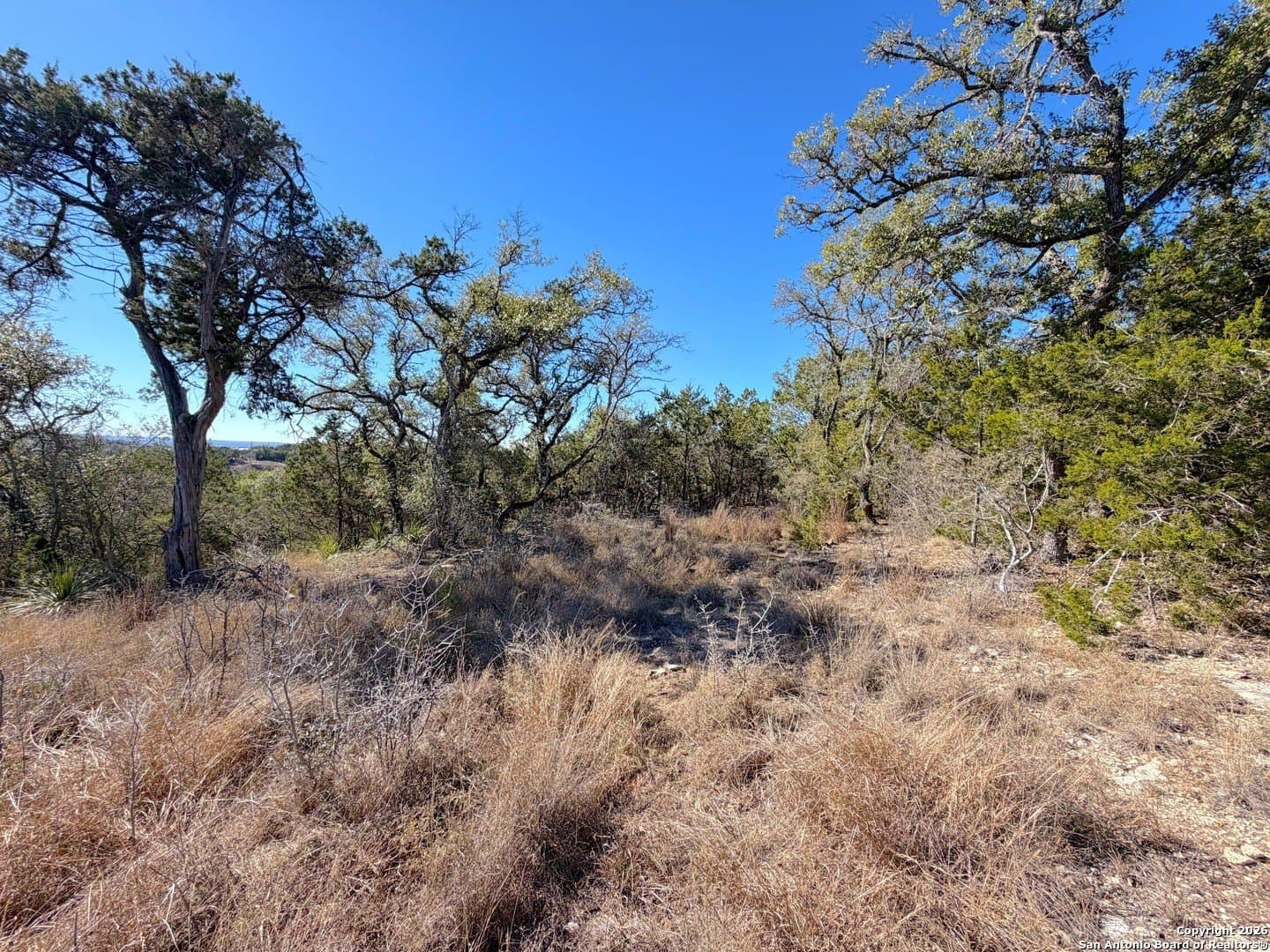 1.04 acres in Comal County - photo 17