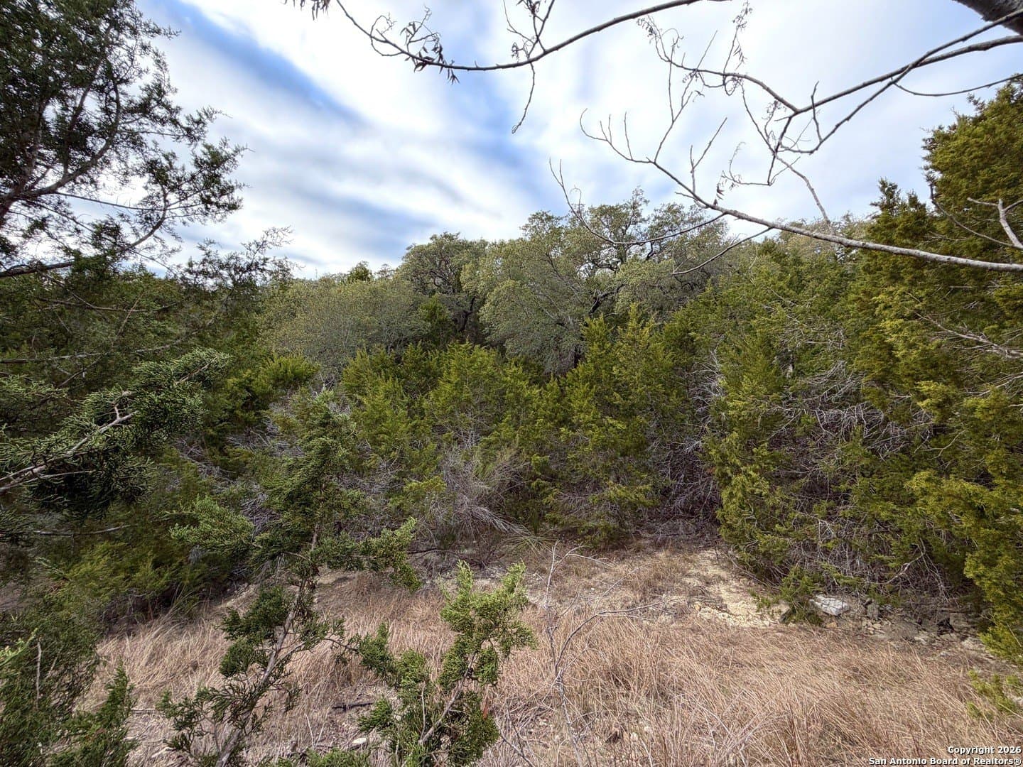 1.04 acres in Comal County - photo 9