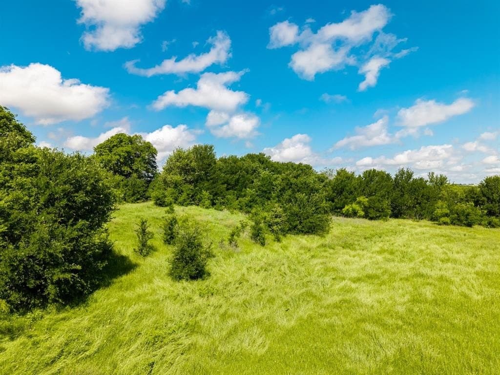 11.34 acres in Hill County - photo 25