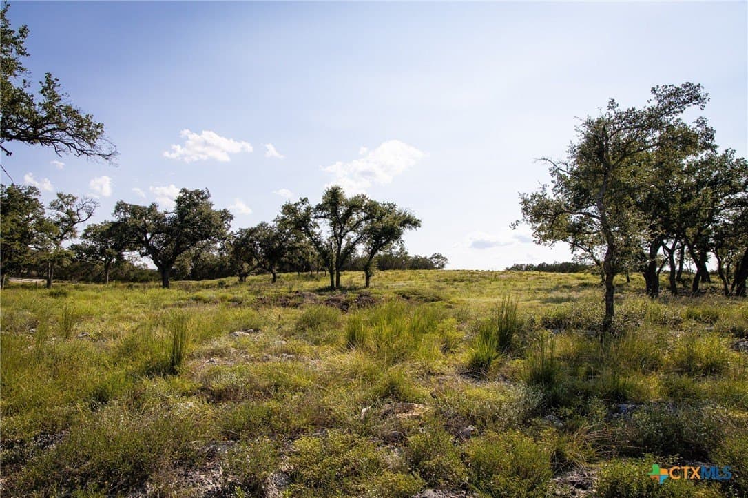 4 acres in Comal County - photo 15