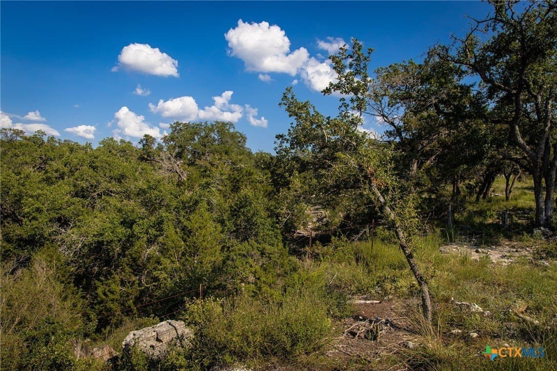 4 acres in Comal County - photo 14