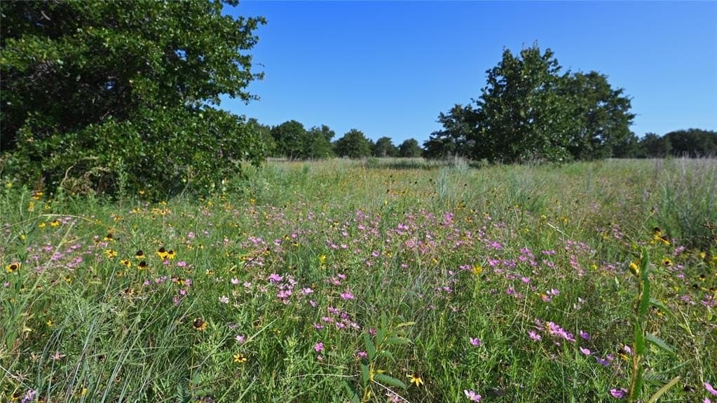 5 acres in Montague County - photo 19
