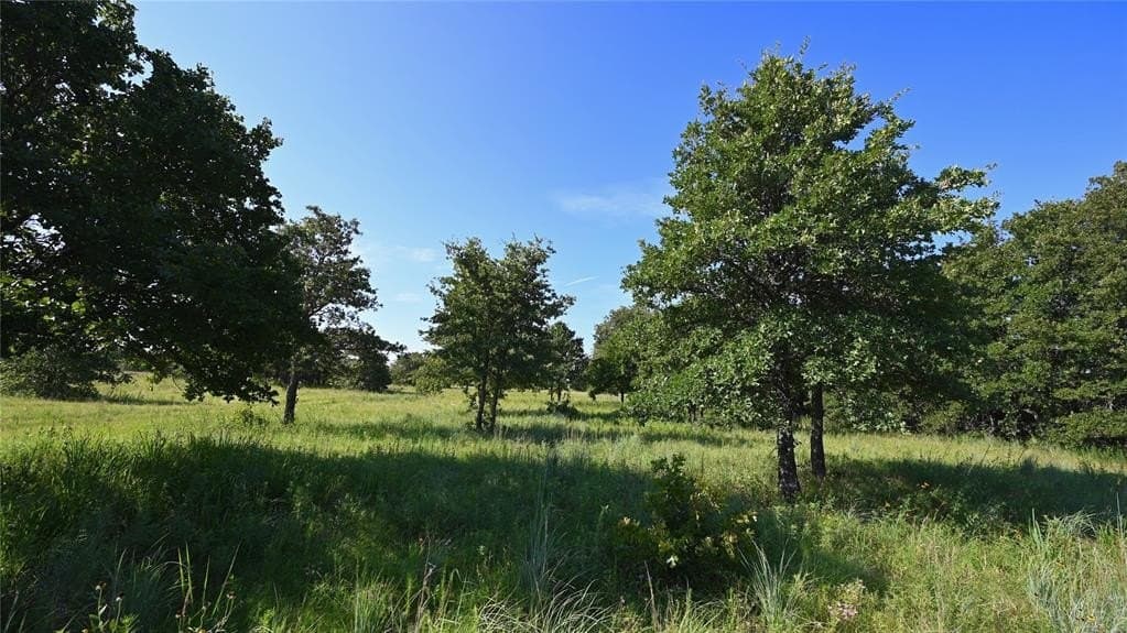 5 acres in Montague County - photo 26