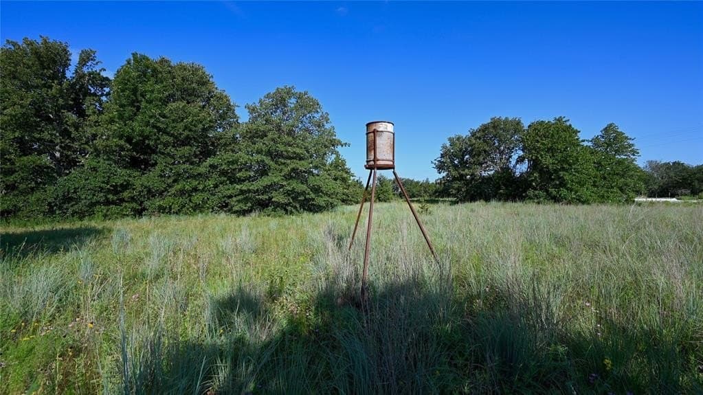 5 acres in Montague County - photo 25