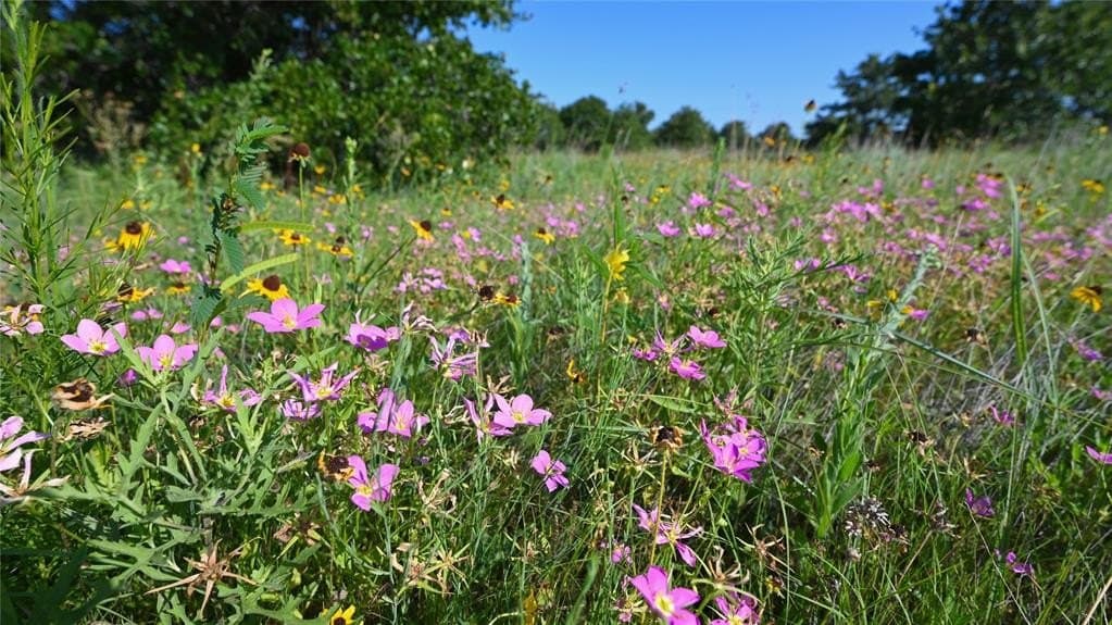 5 acres in Montague County - photo 20