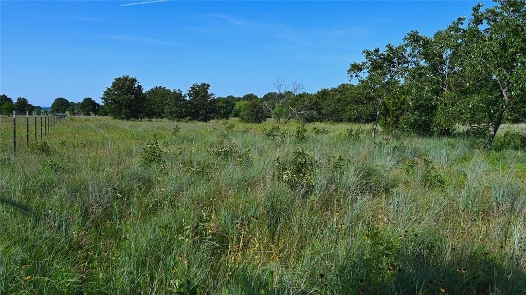 5 acres in Montague County - photo 16