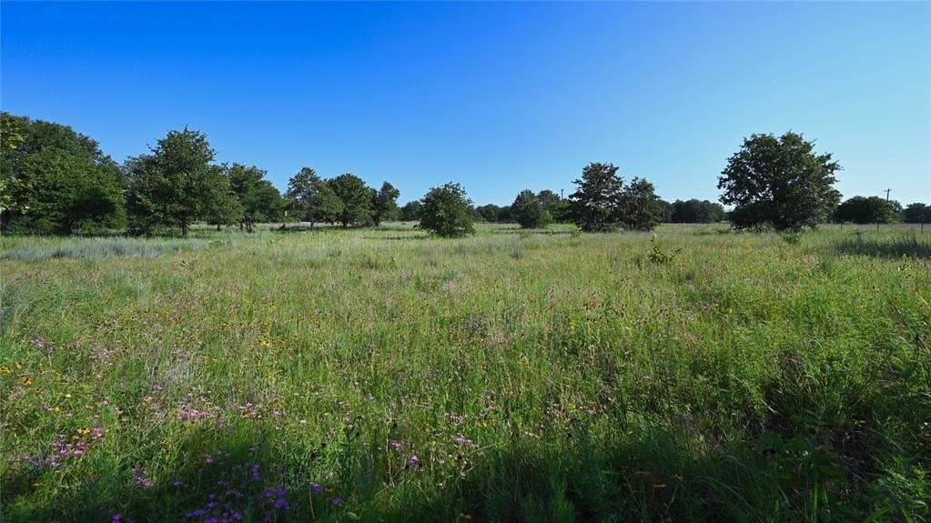 5 acres in Montague County - photo 22