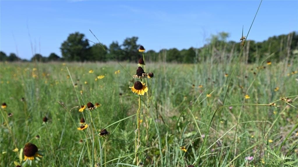 5 acres in Montague County - photo 18