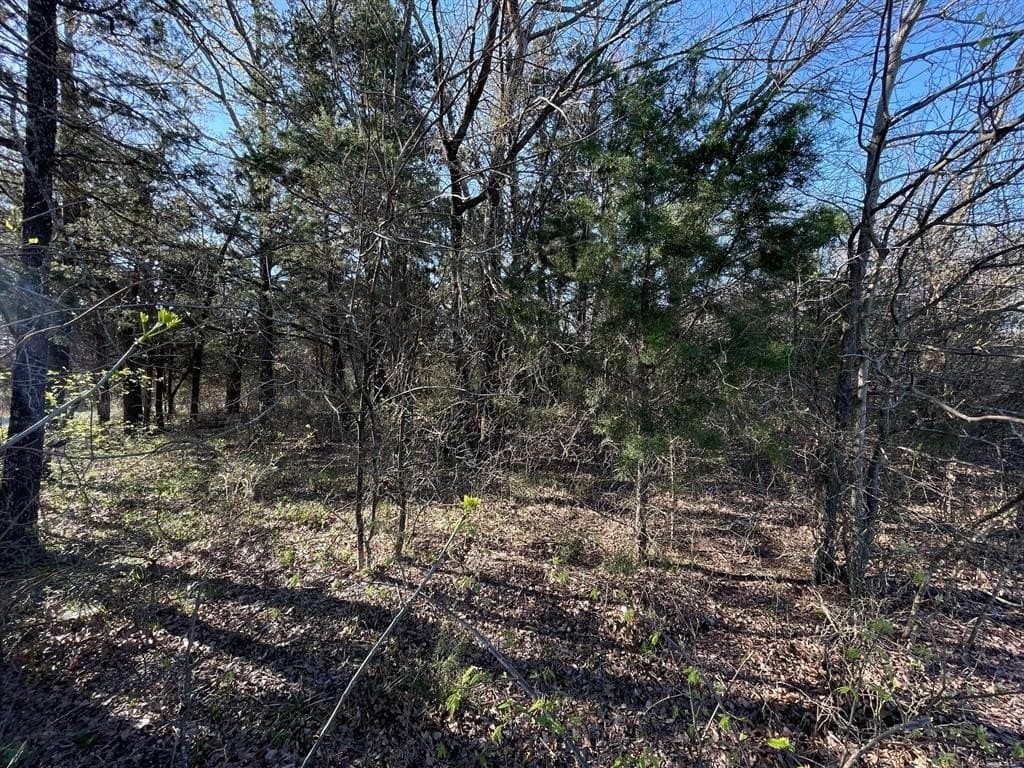 0.65 acres in Grayson County - photo 4