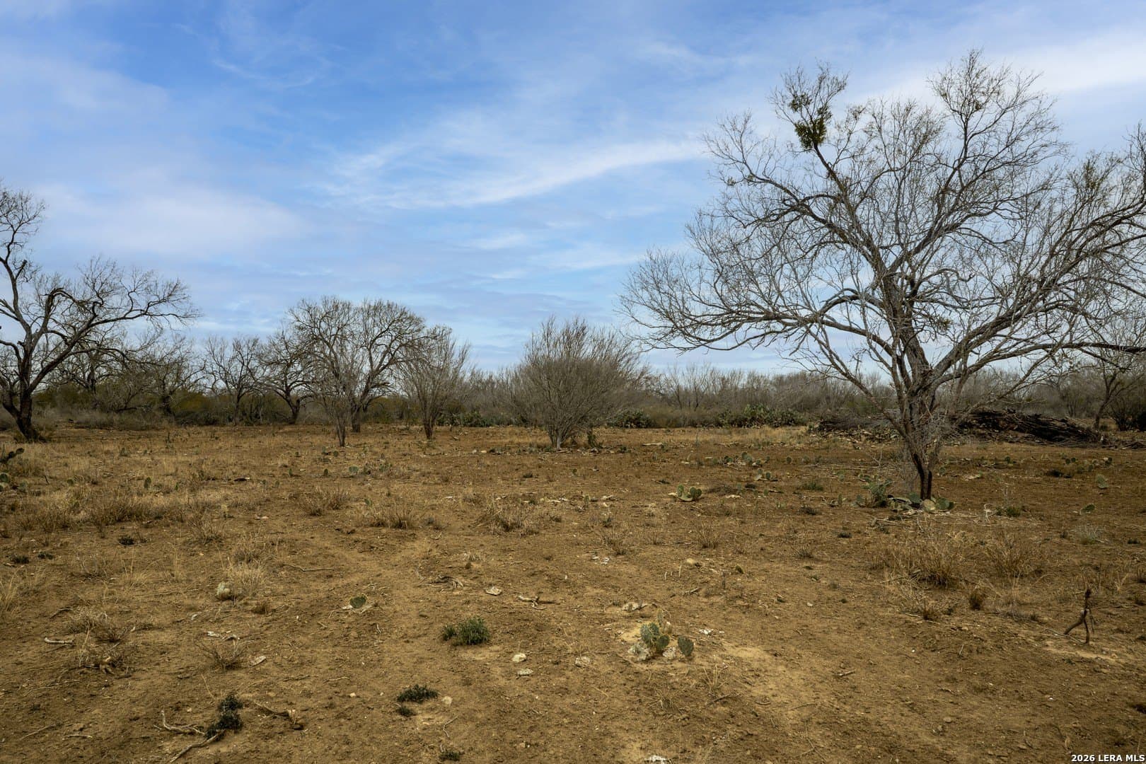 17.27 acres in Frio County - photo 6