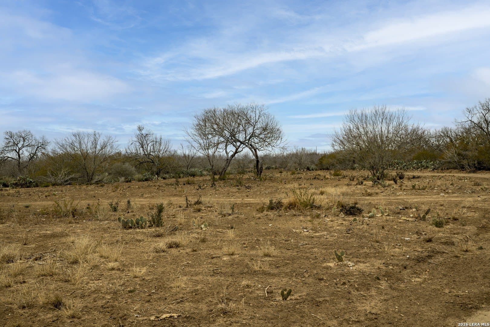 17.27 acres in Frio County - photo 5