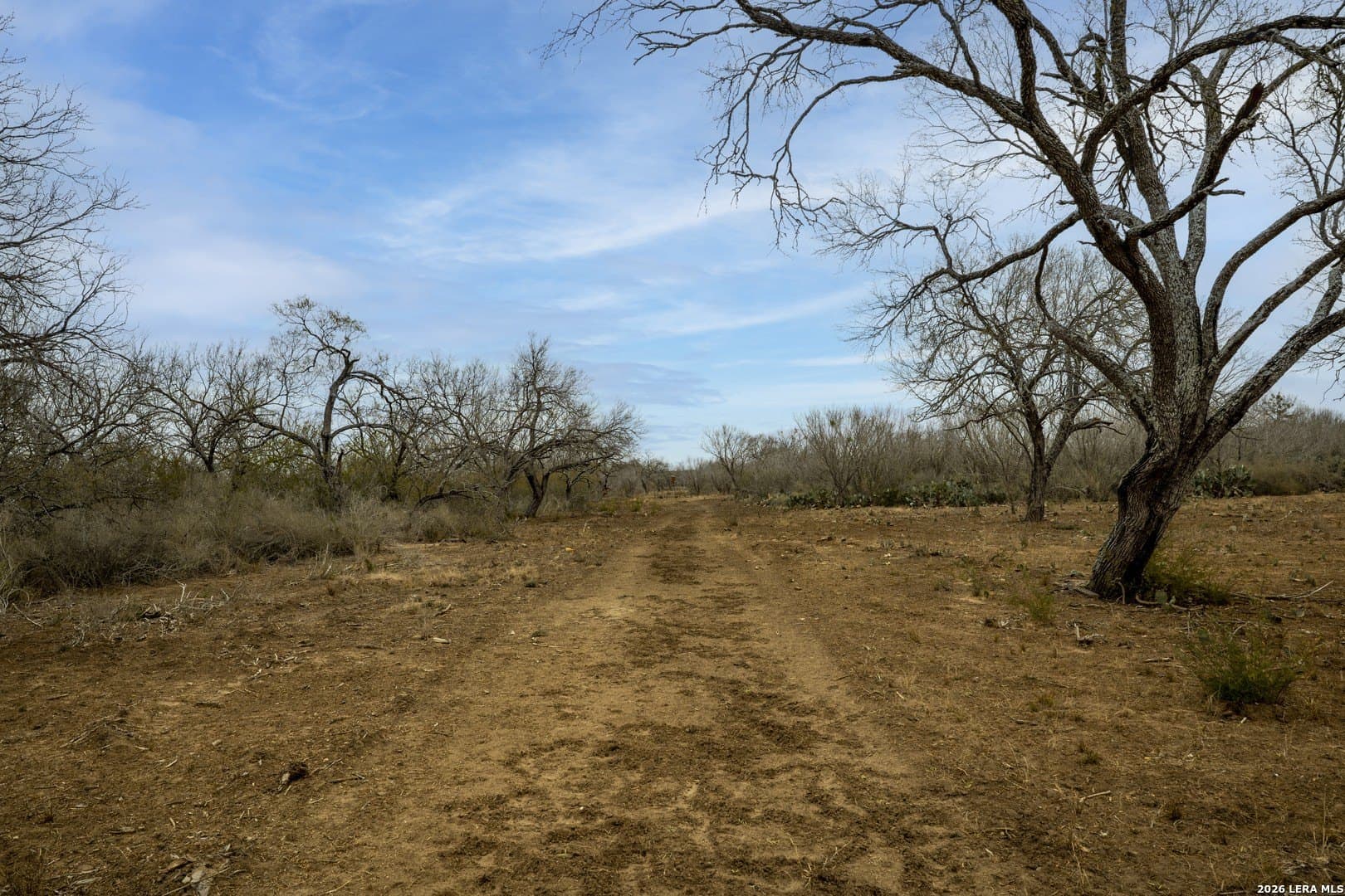17.27 acres in Frio County - photo 9