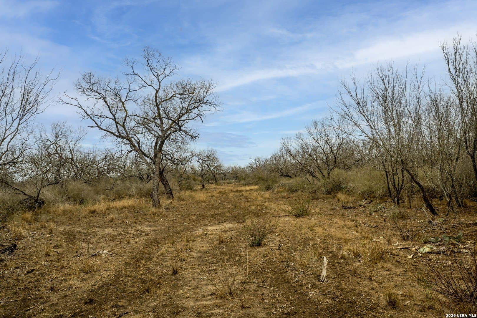 17.27 acres in Frio County - photo 13