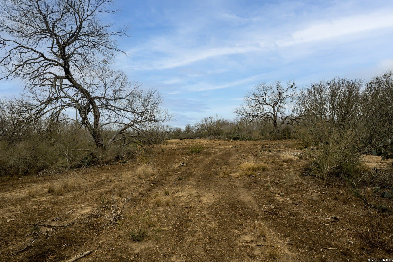 17.27 acres in Frio County - photo 11