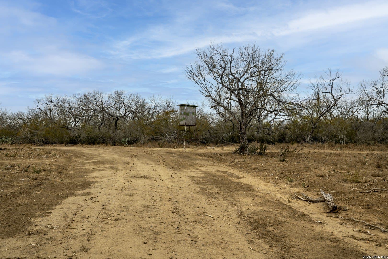 17.27 acres in Frio County - photo 8